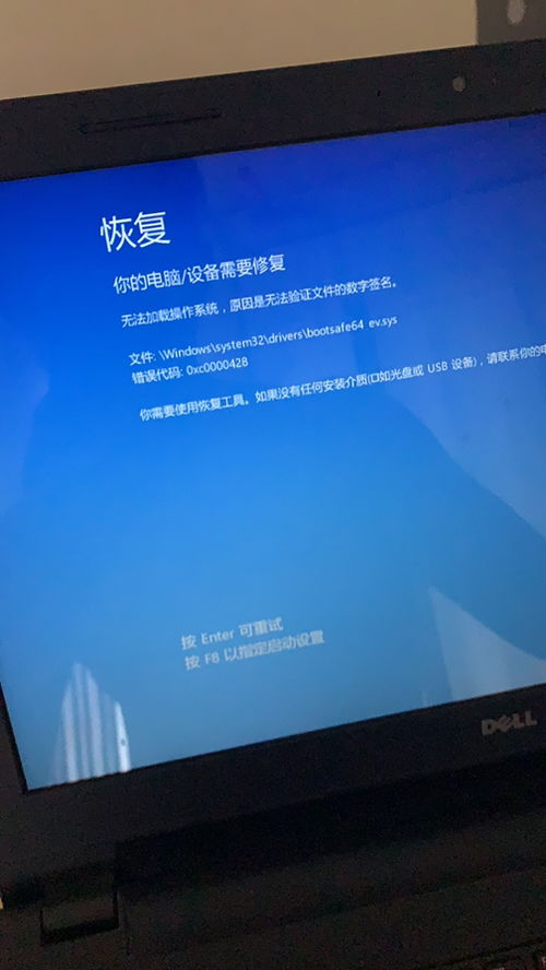 dell电脑怎么下载应用_Dell电脑怎么下载应用到桌面