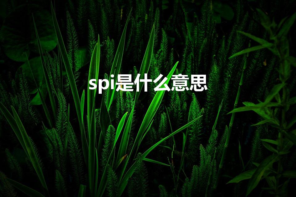 spi是什么意思【SPI是什么意思】