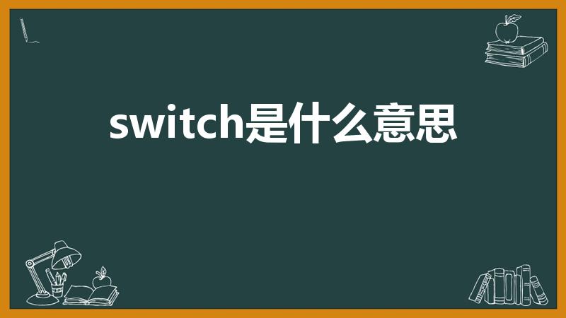 switch是什么意思【=switch什么意思】