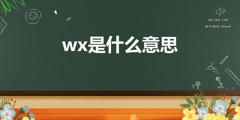 wx是什么意思【请问WX是什么意思~】