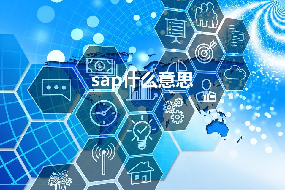 sap什么意思【SAP是什么】