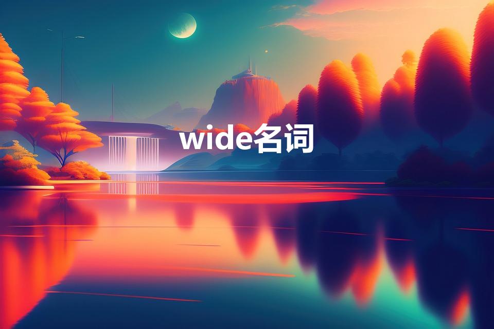 wide名词【wide名词是什么】