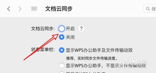 mac版wps使用教程_新手mac版wps使用技巧