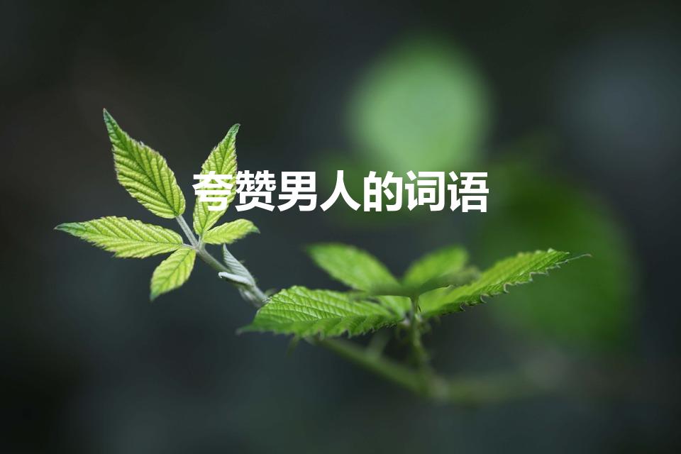 夸赞男人的词语【赞美男人优秀的词语有哪些】