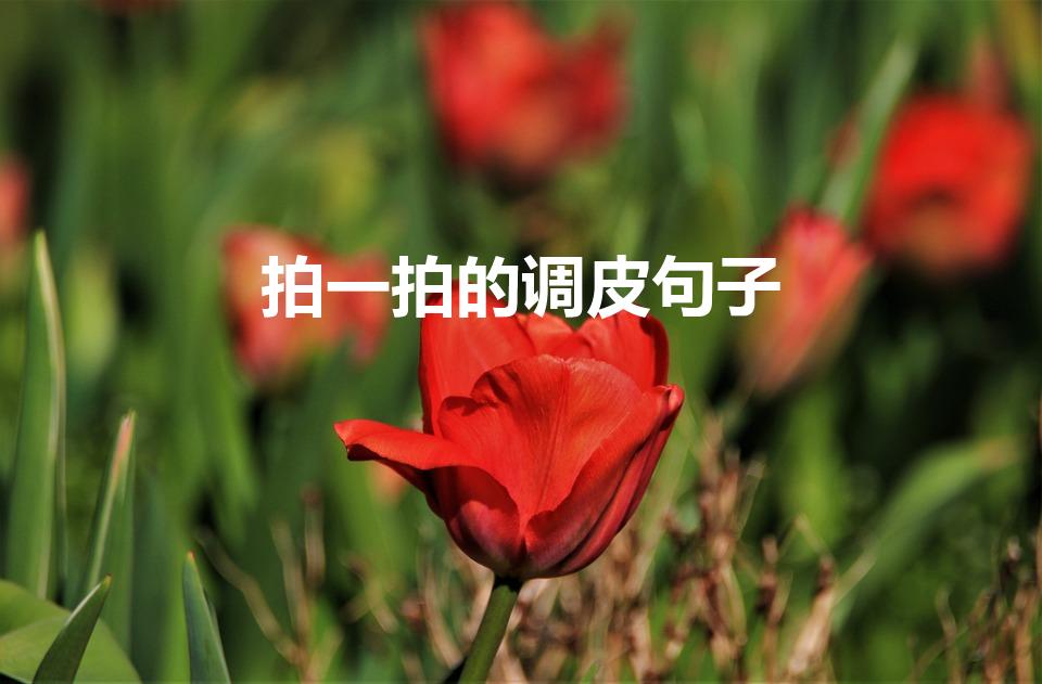 拍一拍的调皮句子【微信拍一拍可爱俏皮的文案】