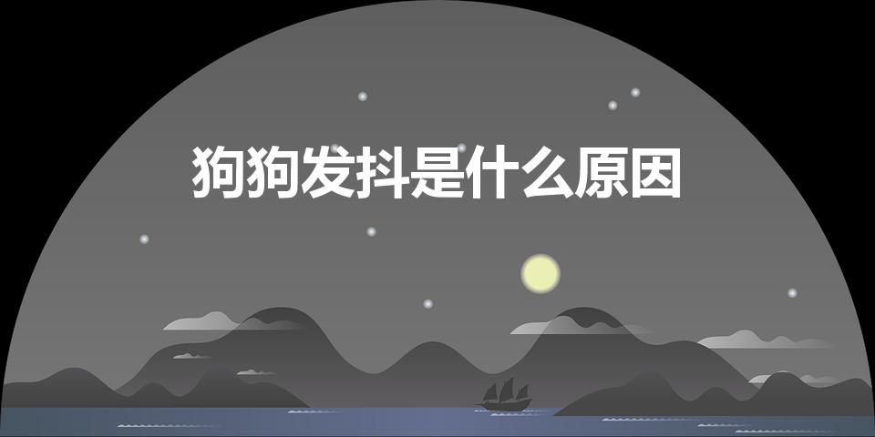 狗狗发抖是什么原因【狗狗打颤抖是什么原因】