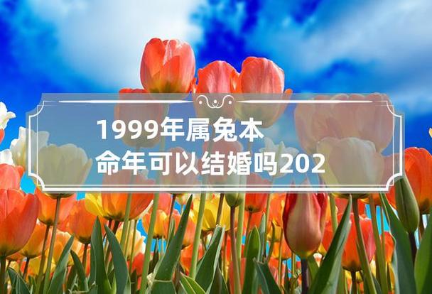 2023年属兔本命年结婚好不好【2023年属兔本命年结婚会影响婚姻幸福吗】