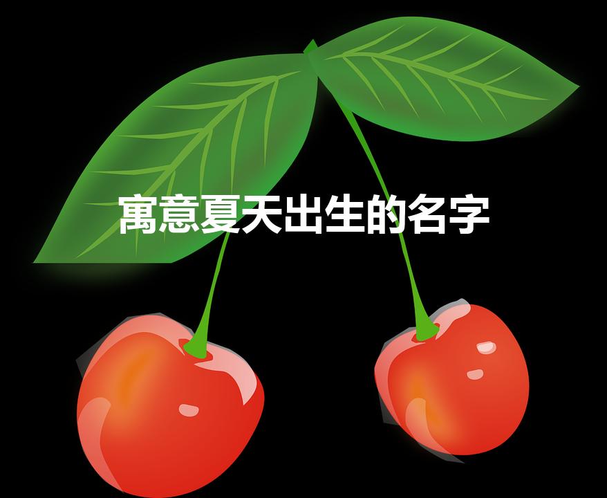 寓意夏天出生的名字【夏天取什么名字寓意好】