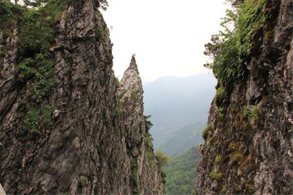 神农架景区有哪些主要景点【神农架著名的八大旅游景点】