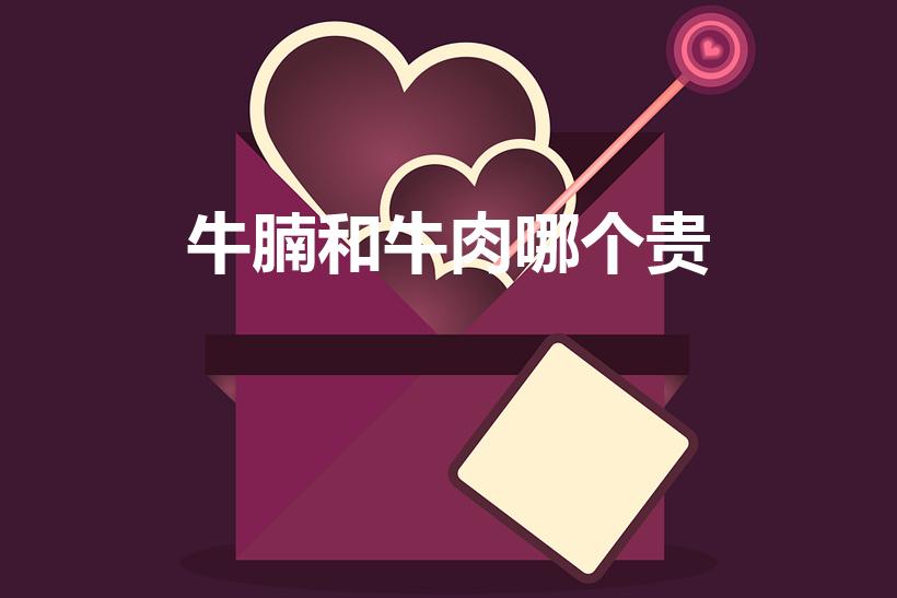 牛腩和牛肉哪个贵【牛腩和牛肉的区别是什么】