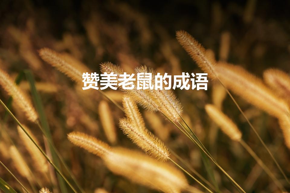 赞美老鼠的成语【老鼠谋智，夸赞无限】