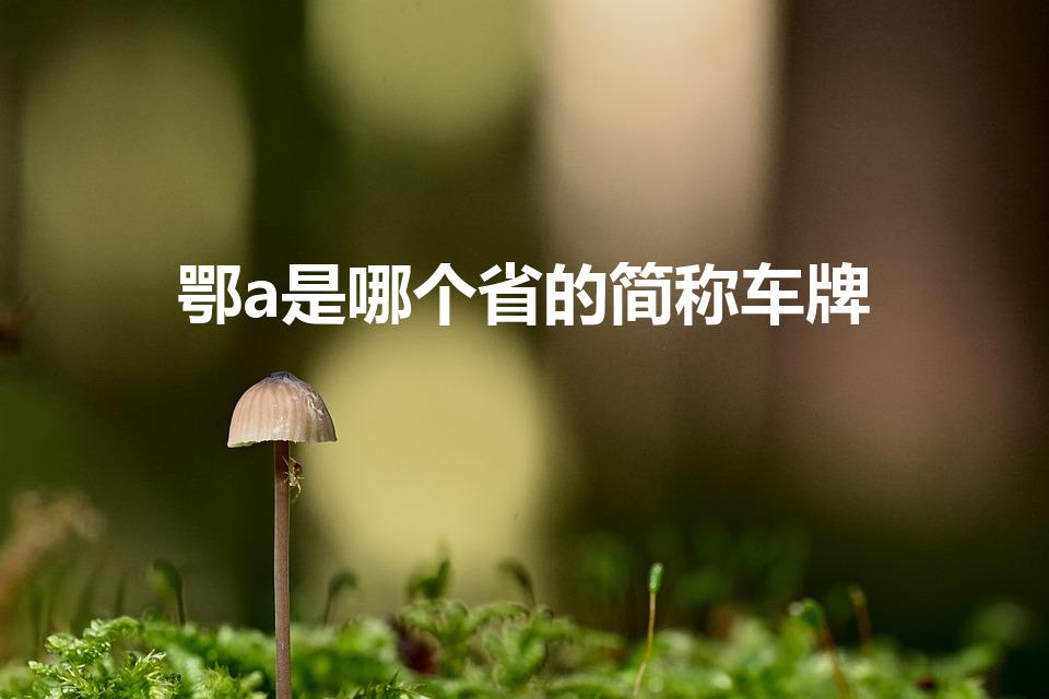 鄂a是哪个省的简称车牌【鄂A车牌来自何省？】