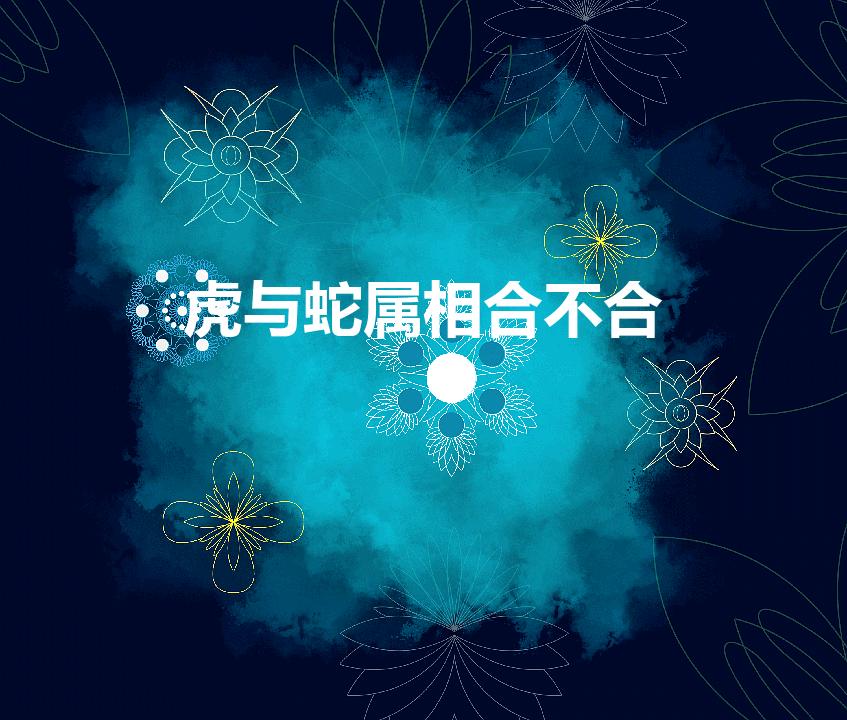 虎与蛇属相合不合【虎与蛇属相合不合财】