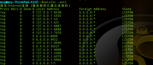 Linux中的netstat命令使用教程