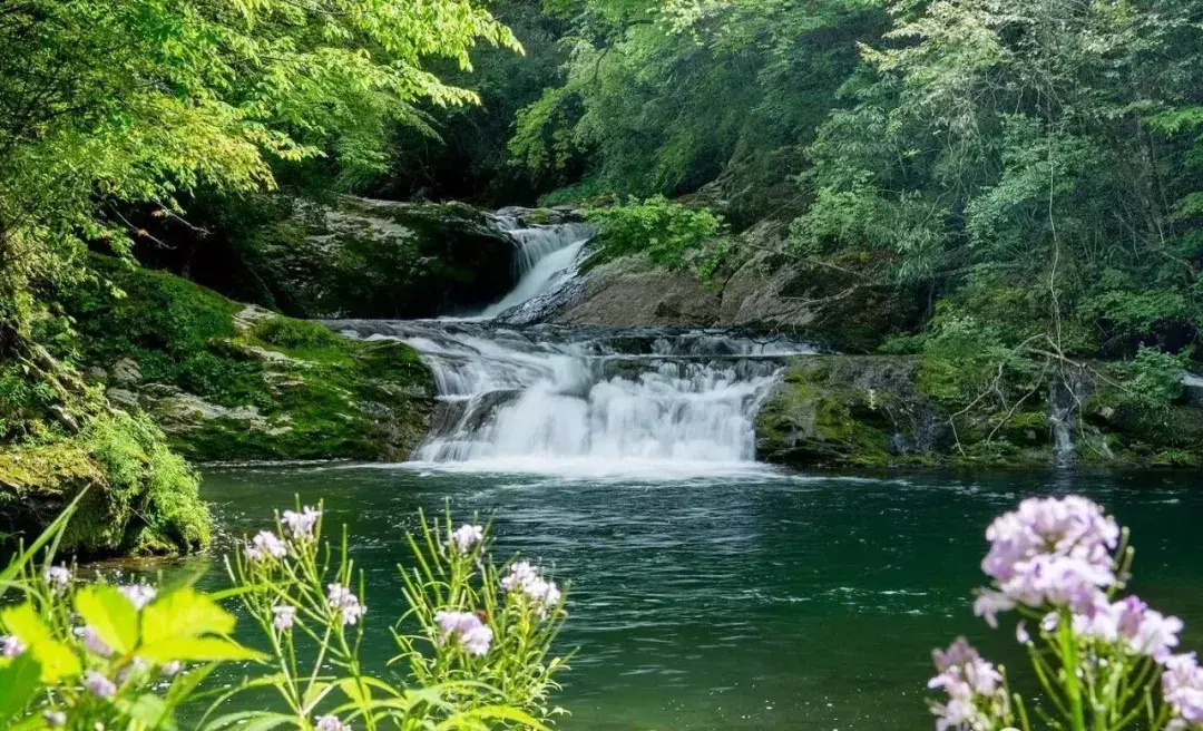 汉中旅游景点排名推荐【汉中旅游景点排名推荐龙头山】