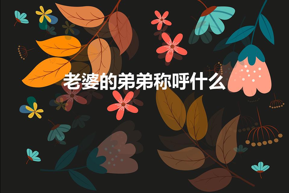 老婆的弟弟称呼什么【妻子的弟弟正式称谓是什么】