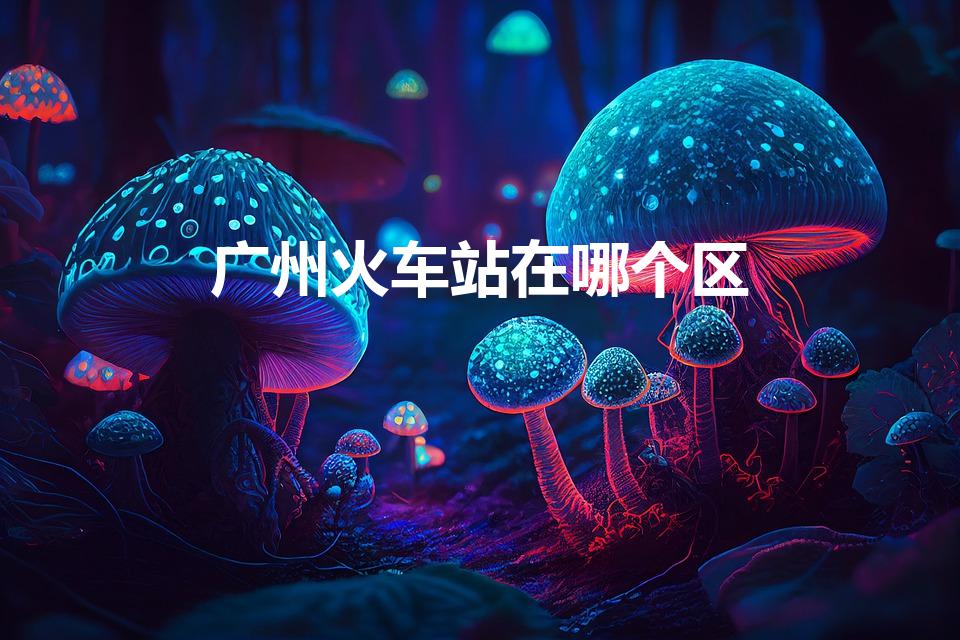 广州火车站在哪个区【广州火车站所在区域】