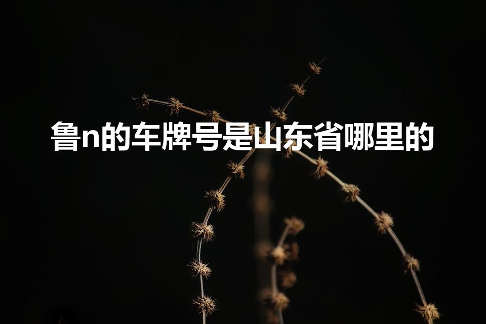 鲁n的车牌号是山东省哪里的【鲁N车牌：山东省何处的？】