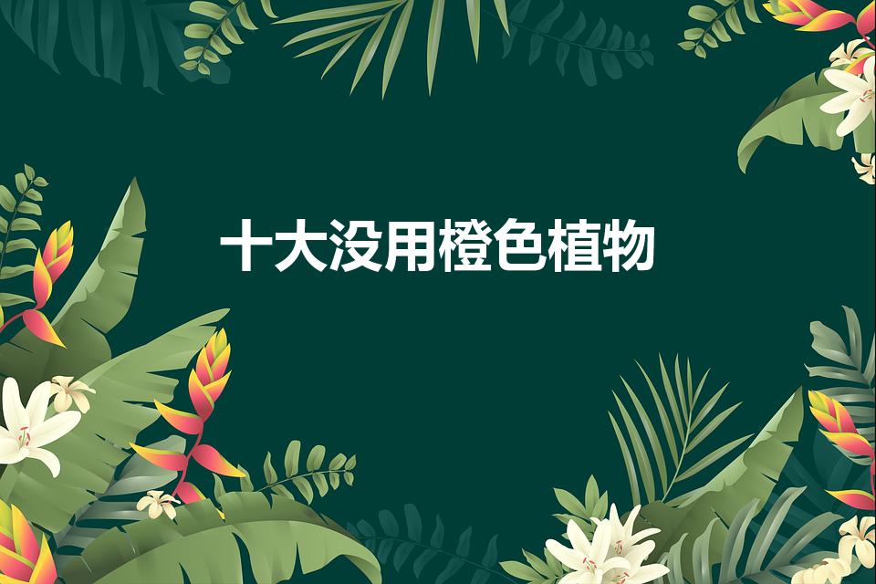 十大没用橙色植物【无用之橙：十种没人需要的植物】