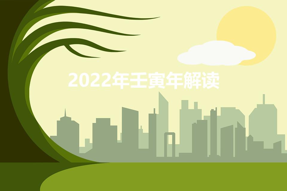 2022年壬寅年解读【2022年壬寅年解读拼音】