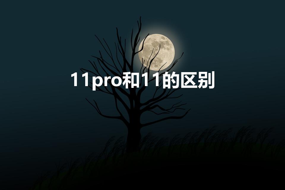 11pro和11的区别【苹果11和11pro的区别】