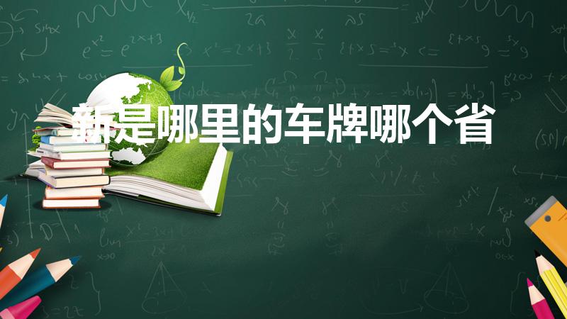 新是哪里的车牌哪个省【新字车牌是哪个省的】