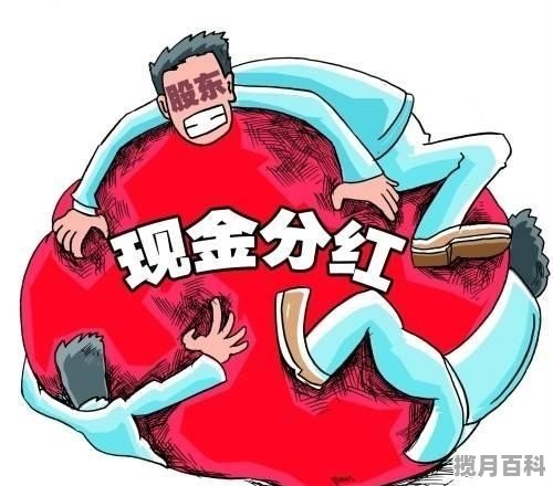 股票现金分红前买入好还是分红后买入,股票现金分红前买入 