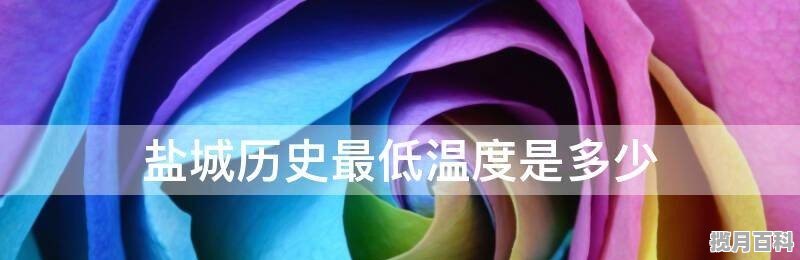 盐城历史最底气温是多少？↙ 盐城2016年高考分数线