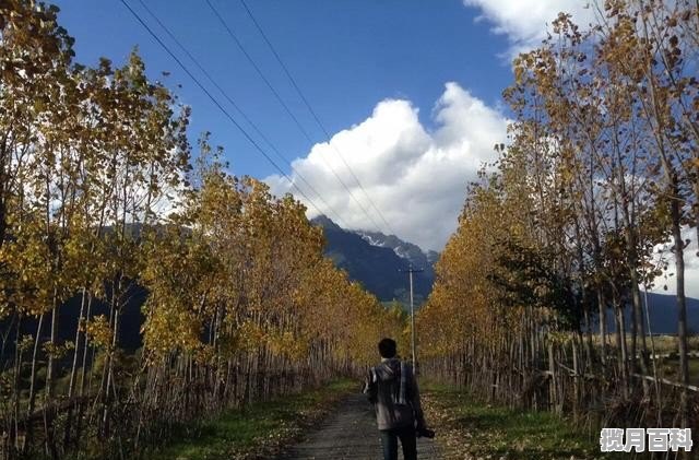 夏天第一次和女生见面怎么穿搭，见普通朋友和女朋友穿搭