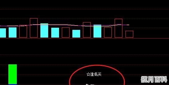 2023北京国际电影节有易烊千玺吗_周冬雨吴磊电视剧