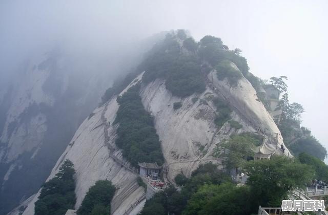 中国最出名的十大景区是哪十大,国内最新电影排名榜