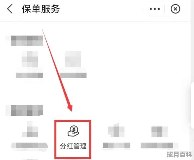 保险分红怎样从手机上取，股票分红在账户上怎么提现