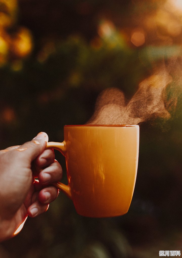 泡茶最好的杯子,用什么杯子泡养生茶喝最好