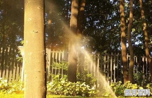 入夏养生的关键词_谷雨节气养生知识