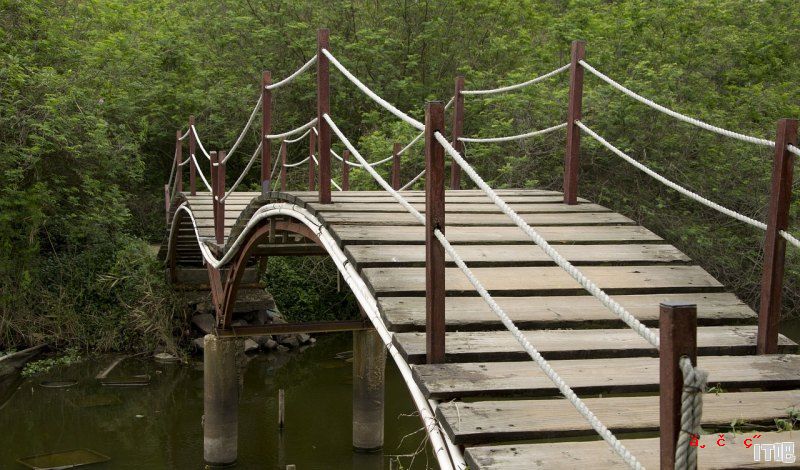 东安湖体育场是什么时候建成，常德组装电脑学校有哪些