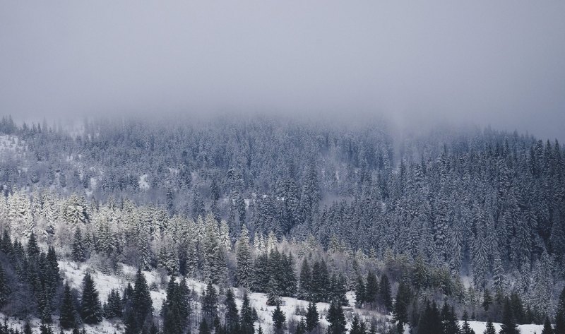 原神隐形桥怎么过_原神玉龙雪山探险攻略