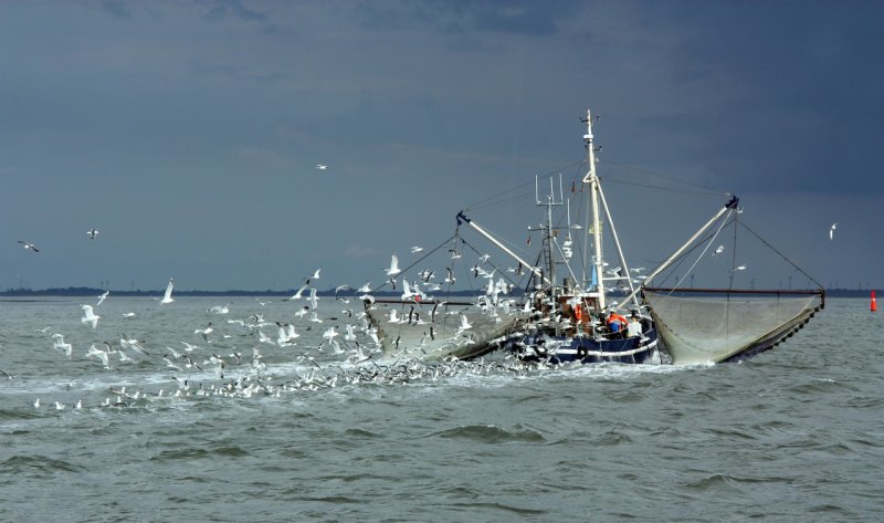 和平精英海6 和平精英海6