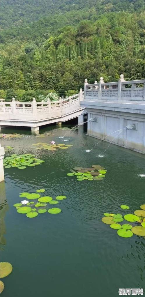 云南旅游股票解禁对股价的影响,为什么旅游股票不行