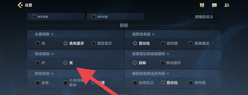 玩射手必调的设置_王者荣耀射手设置怎么调最好