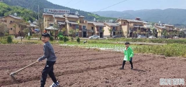 父母想去西昌养老度假，有没有好的旅居项目推荐一下，琼海美食推荐 晚餐