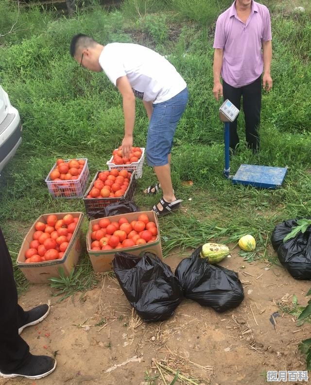 农村有什么好玩的 靖边美食推荐烤肉