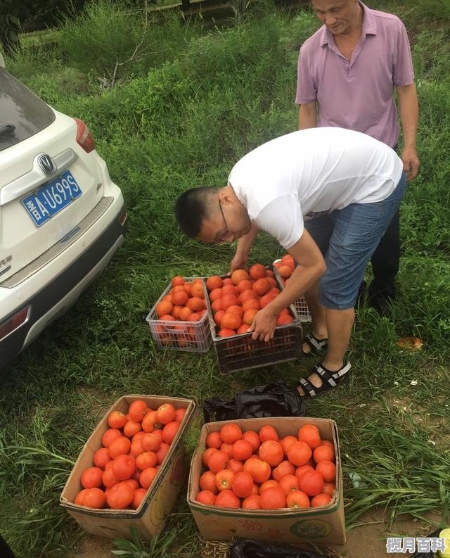 农村有什么好玩的,靖边美食推荐烤肉