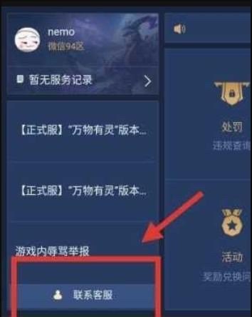 王者荣耀被恶意举报怎么申诉,王者荣耀举报系统