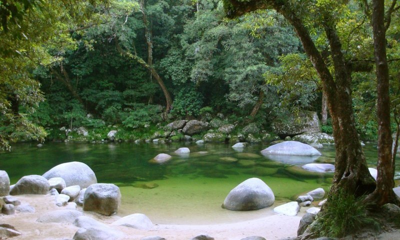 原神雨林秘境怎么开启逃课 原神雨林隐藏攻略