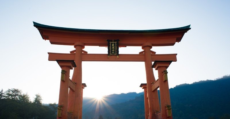 原神神樱任务荒废神社怎么过 原神报废神社攻略