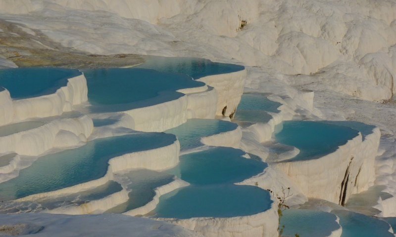 原神森林奇旅怎么过 原神森林地图怎么解锁