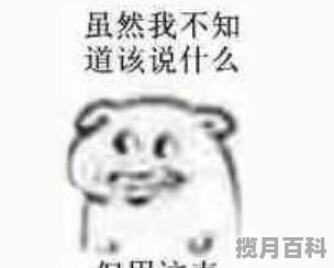 有什么好玩的换装游戏，换装游戏推荐男生捏脸