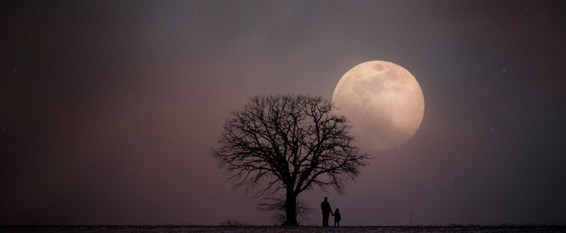 预言季上一个季节是什么_光遇预言季上一个季是什么