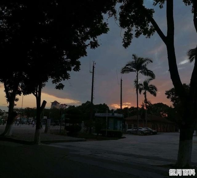 广西农业职业技术学院学风怎样，广西农职院高考分数线