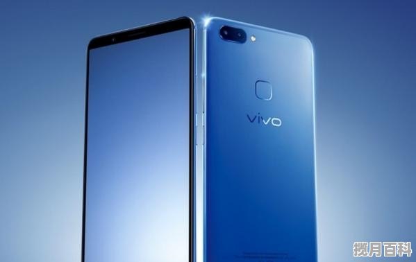 vivo支持nm卡吗_2021 vivo1000左右像素好的手机